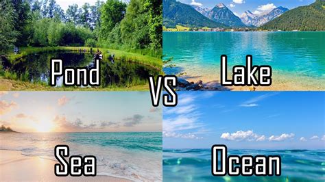 river vs lake vs pond